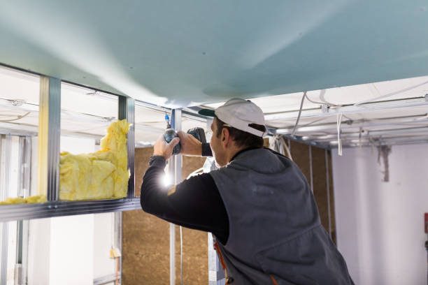 Best Residential Insulation in Red Oak, TX
