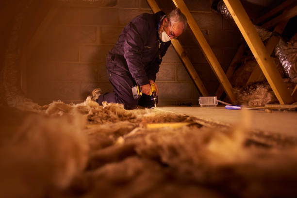Best Insulation Maintenance and Repair in Red Oak, TX