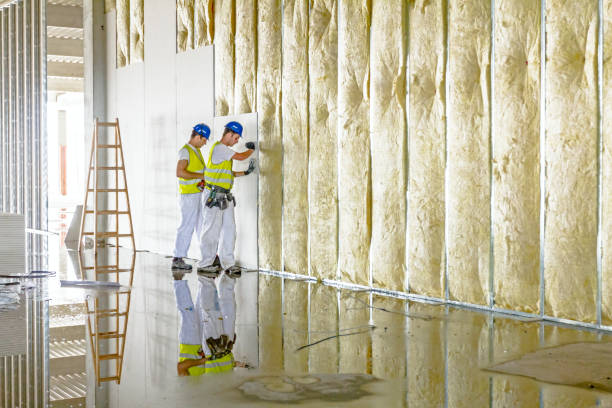 Types of Insulation We Offer in Red Oak, TX